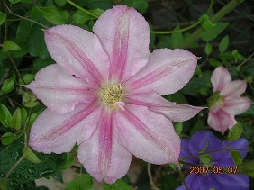 DSCN0480.jpg